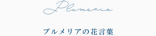 Plumeria プルメリアの花言葉